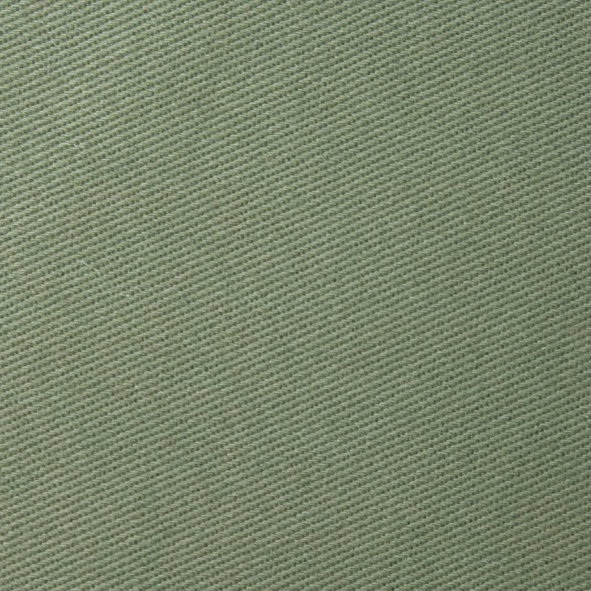 Olive with lining